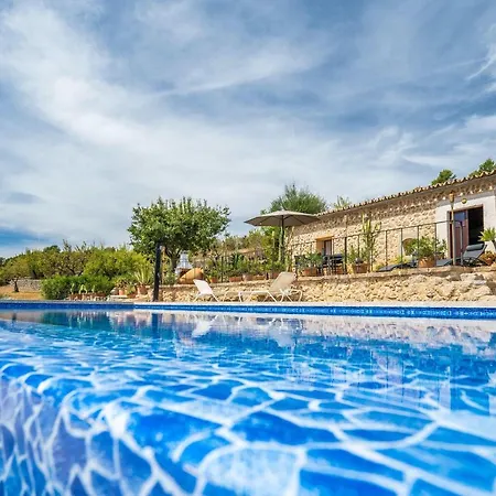 Pulit * Selva (Mallorca)